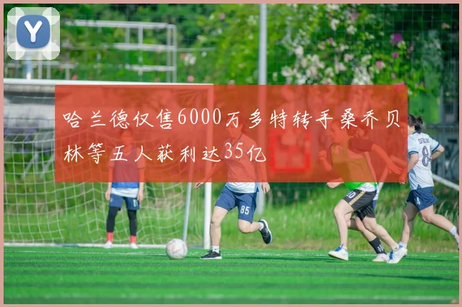 哈兰德仅售6000万多特转手桑乔贝林等五人获利达35亿